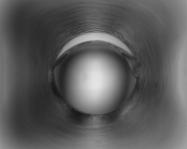 X0000089900080200707121857