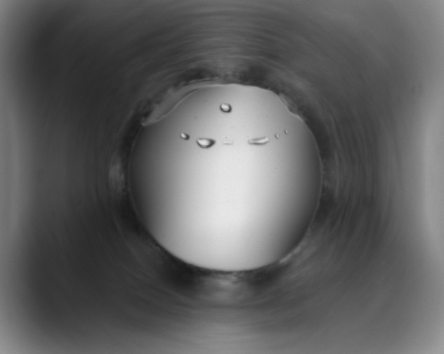 X0000089900086200707121857