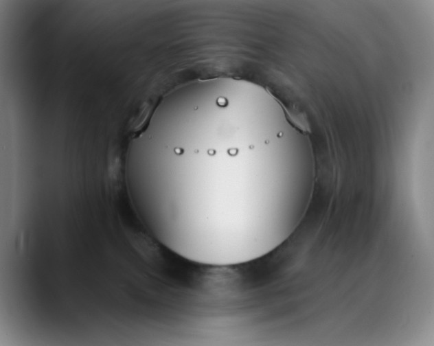 X0000089900087200707121857