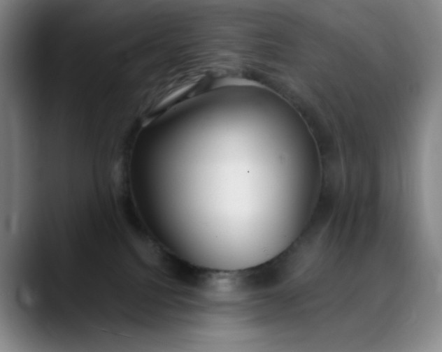 X0000089900088200707121857