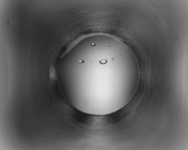 X0000089900089200707121857