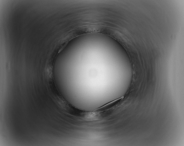 X0000089900096200707121857