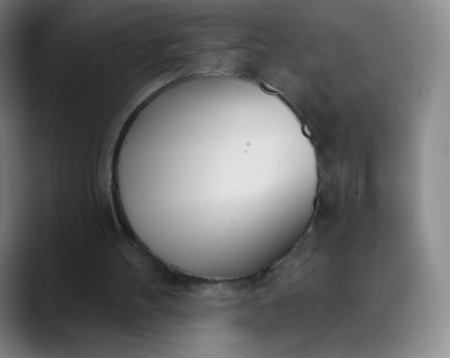 X0000089900100200707121857