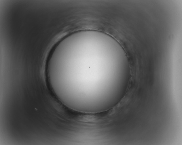 X0000089900104200707121857