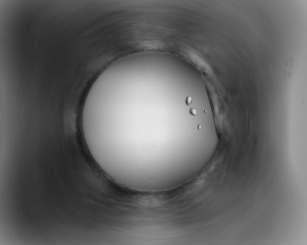 X0000089900106200707121857