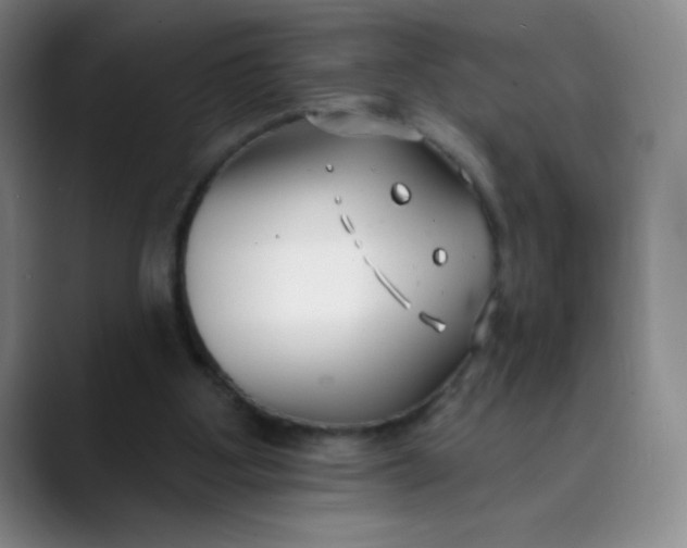 X0000089900107200707121857