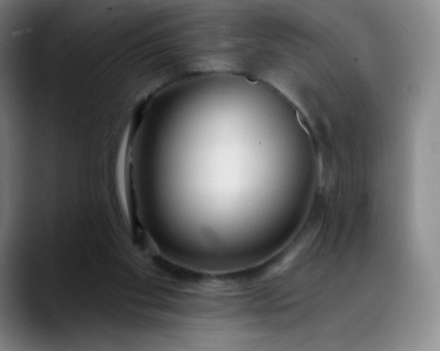 X0000089900109200707121856