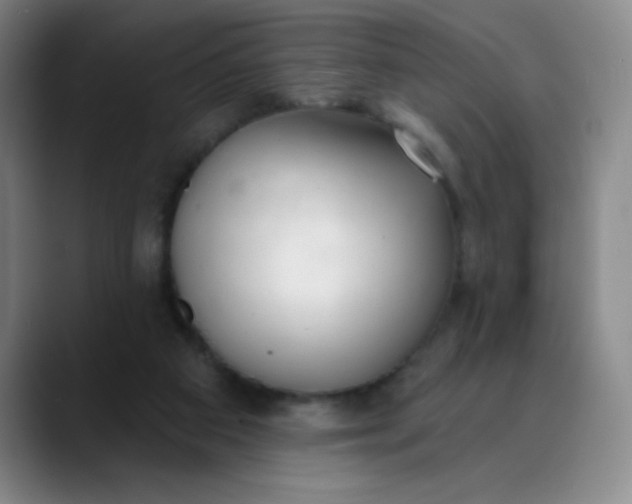 X0000089900113200707121856