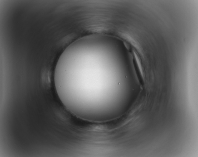 X0000089900115200707121856