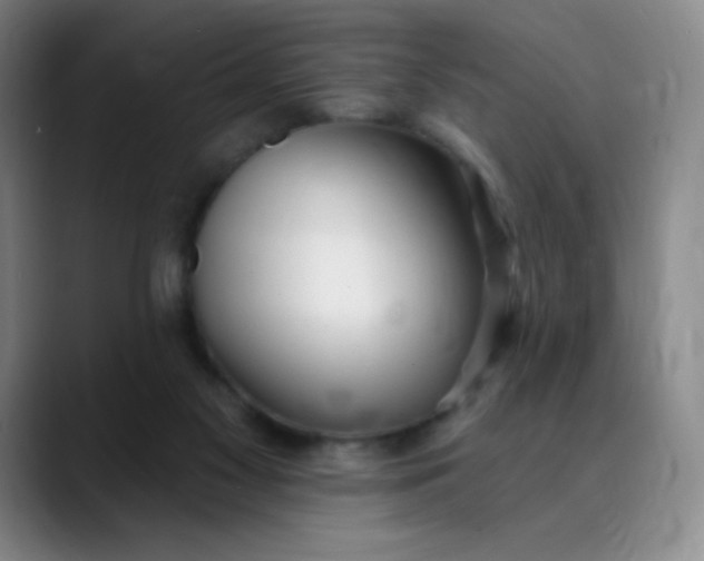 X0000089900117200707121856