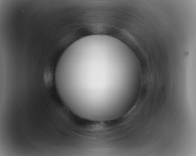 X0000089900124200707121856