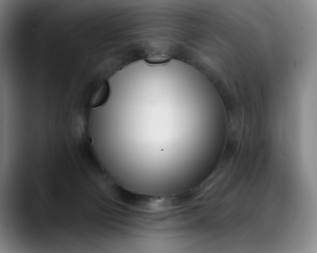 X0000089900130200707121856