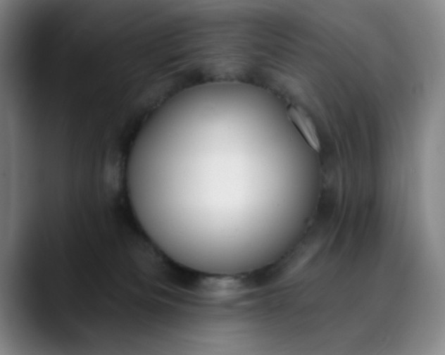 X0000089900133200707121856