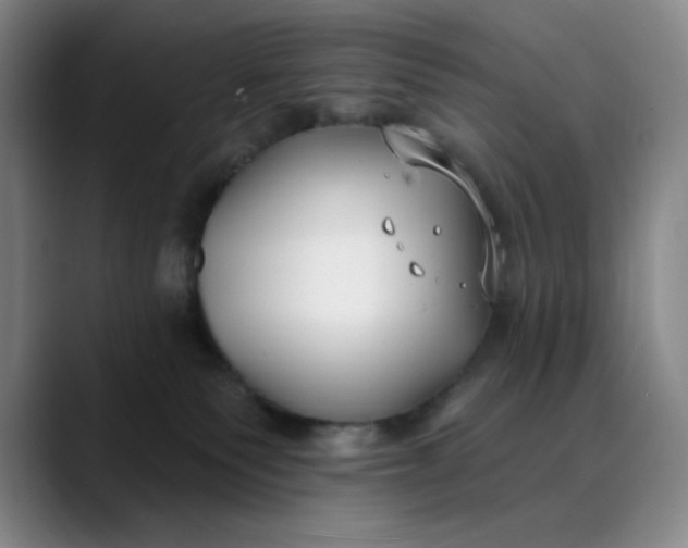 X0000089900135200707121856