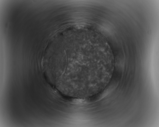 X0000089900139200707121856