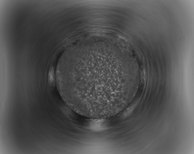 X0000089900143200707121856