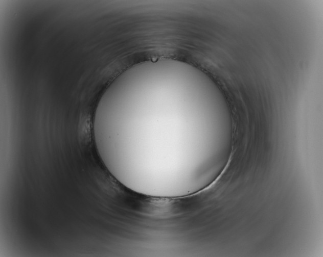 X0000089900144200707121856