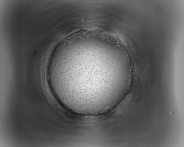 X0000089900145200707121856