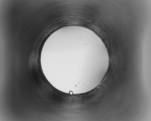 X0000089900146200707121856