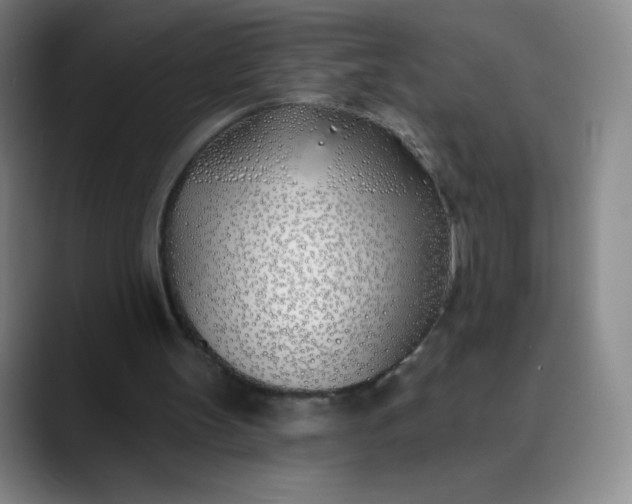 X0000089900147200707121856