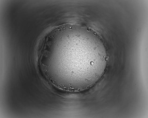 X0000089900149200707121856
