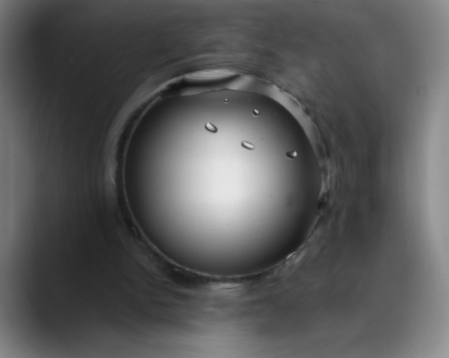 X0000089900150200707121856