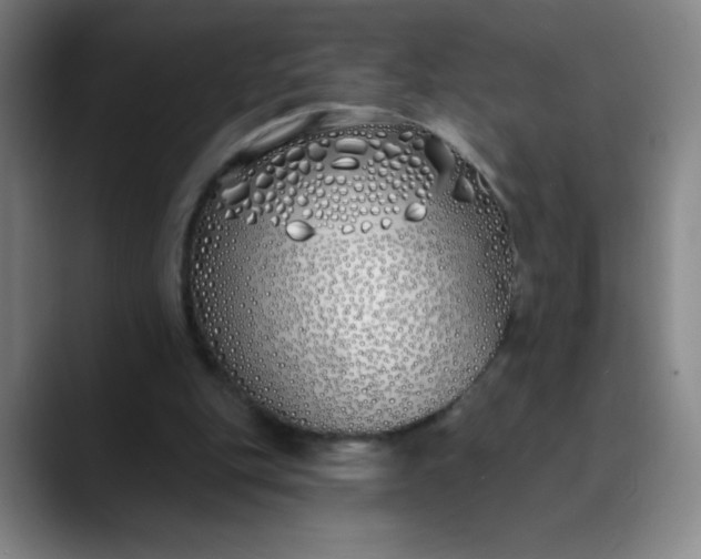 X0000089900151200707121856