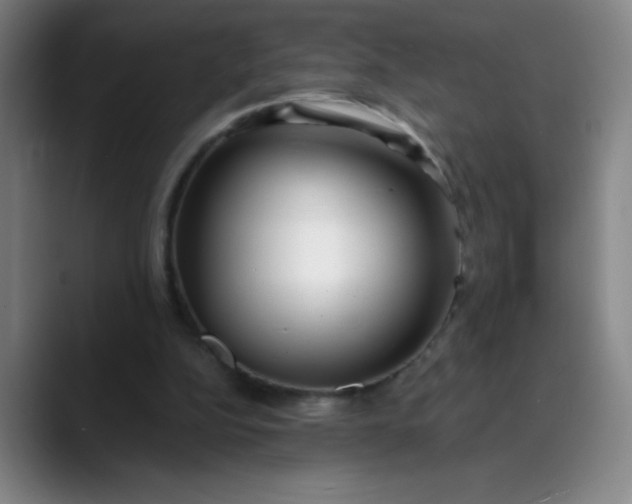 X0000089900152200707121856