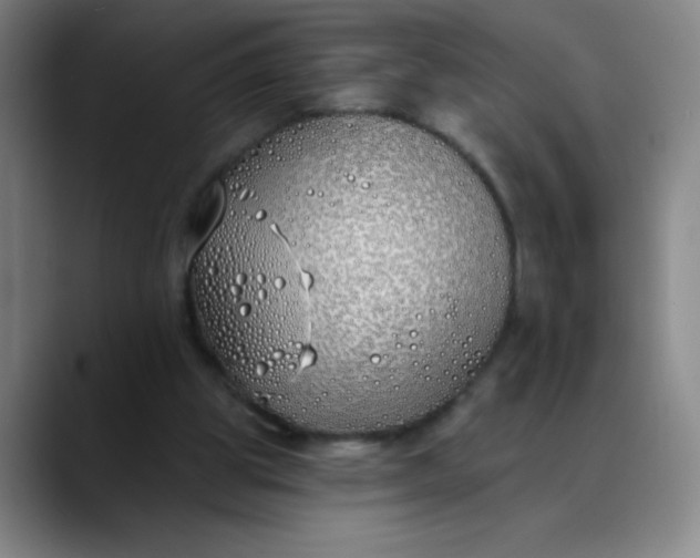 X0000089900153200707121856