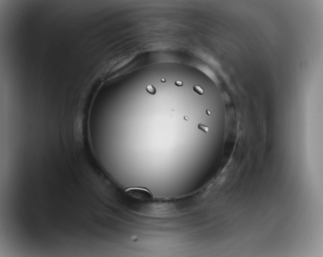 X0000089900154200707121856