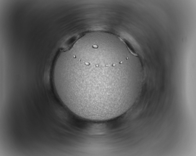 X0000089900155200707121856