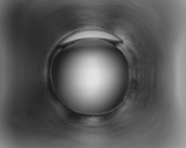 X0000089900156200707121856