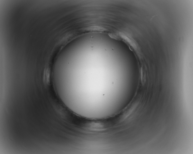 X0000089900157200707121856