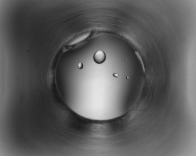 X0000089900160200707121856