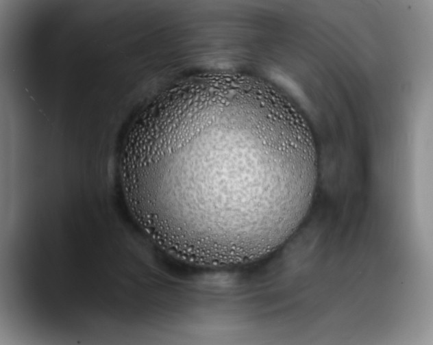 X0000089900161200707121856