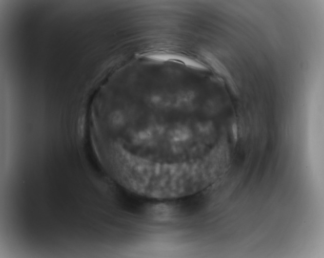 X0000089900163200707121856