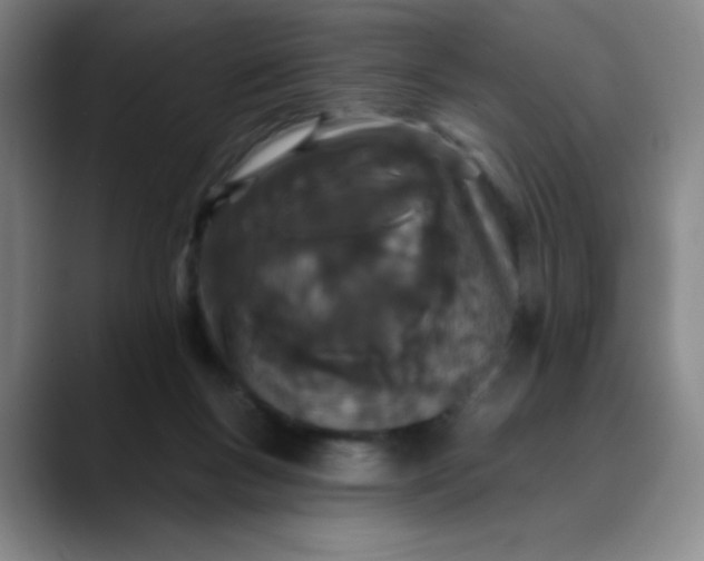 X0000089900167200707121856