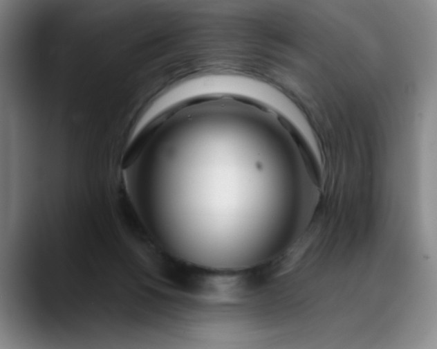 X0000089900168200707121856