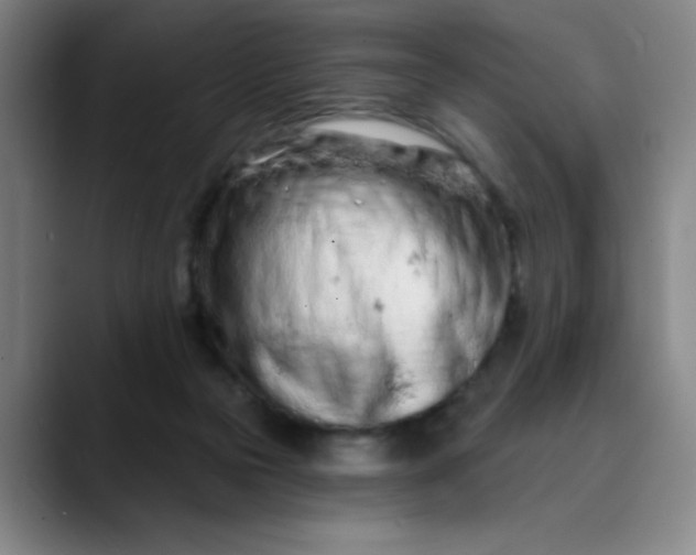 X0000089900169200707121856