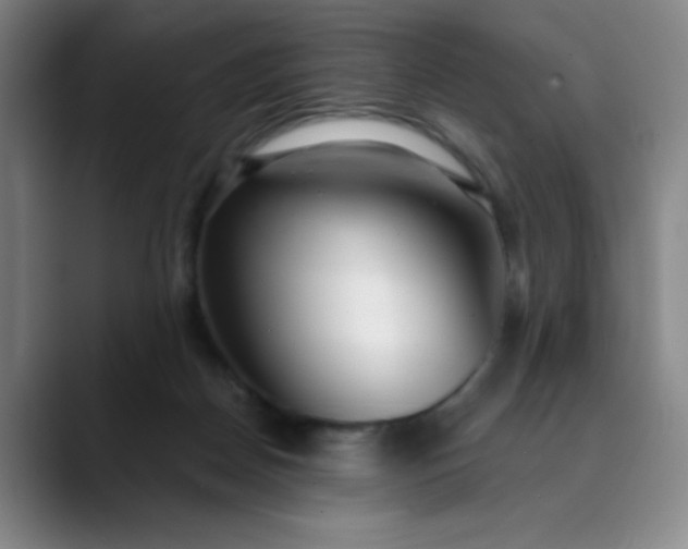 X0000089900170200707121856