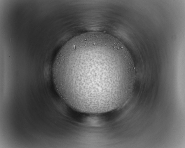 X0000089900171200707121856