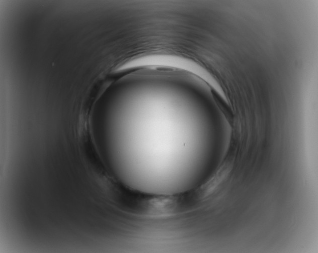 X0000089900172200707121856