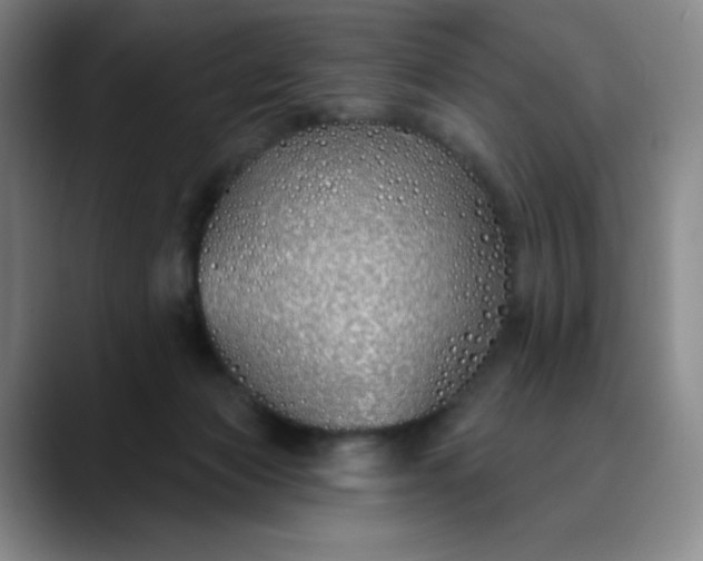 X0000089900173200707121856