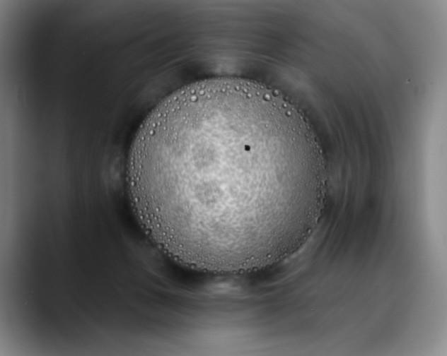 X0000089900175200707121856