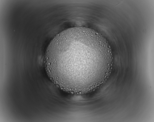 X0000089900177200707121856