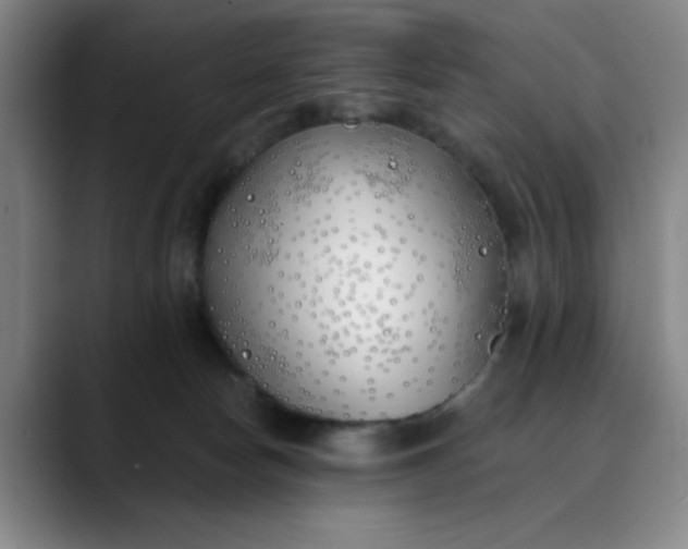 X0000089900178200707121856