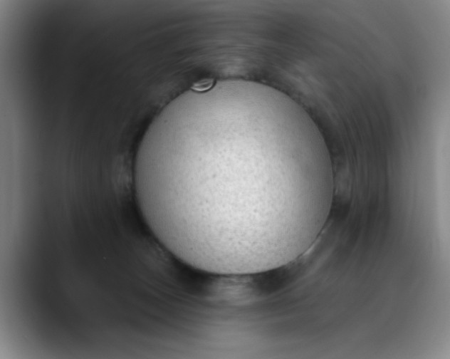X0000089900179200707121856