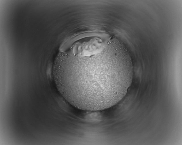 X0000089900185200707121856