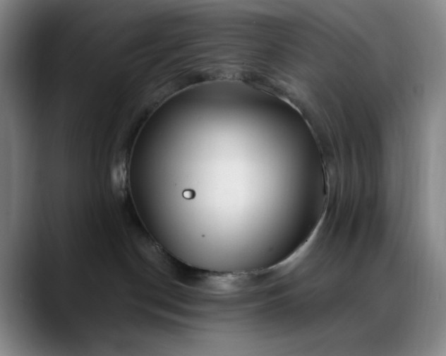 X0000089900190200707121856