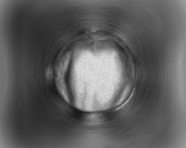 X0000089900191200707121856